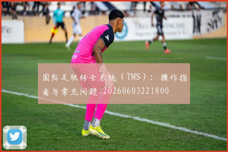 国际足联转会系统(TMS):操作指南与常见问题_20260603221800